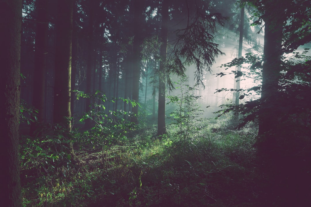Landscape Photography